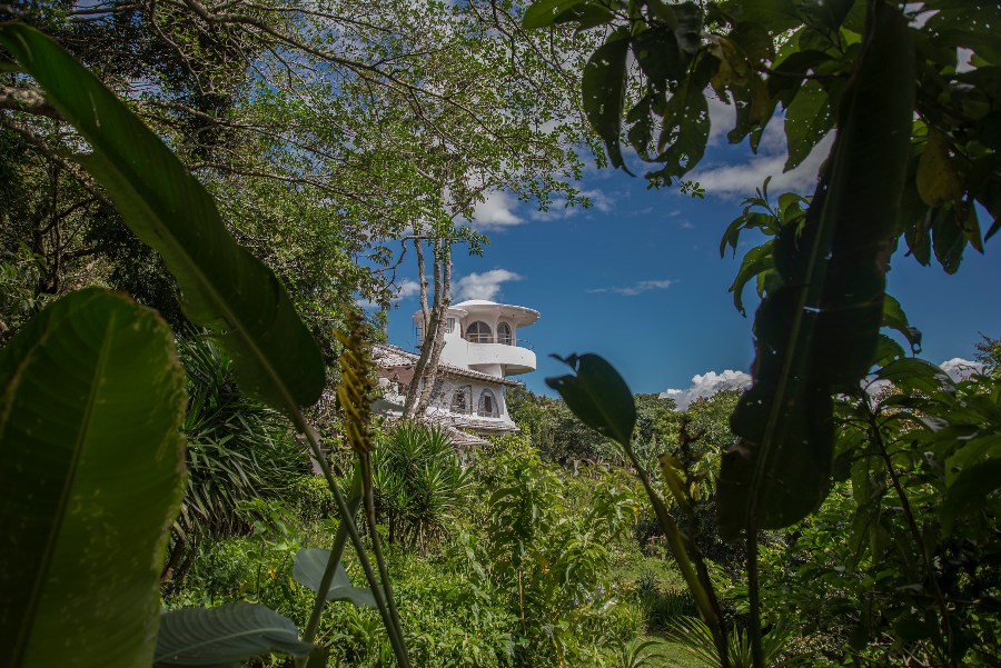 Coffee Plantation Costa Rica Hotel / Finca Rosa Blanca Coffee