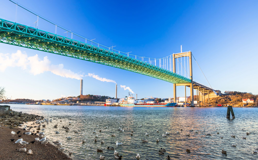 World's Best Half Marathons Insight Guides