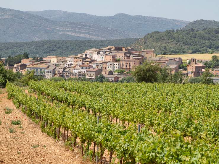 Wine cultural features Famous Cultural Features in Wine, Spain