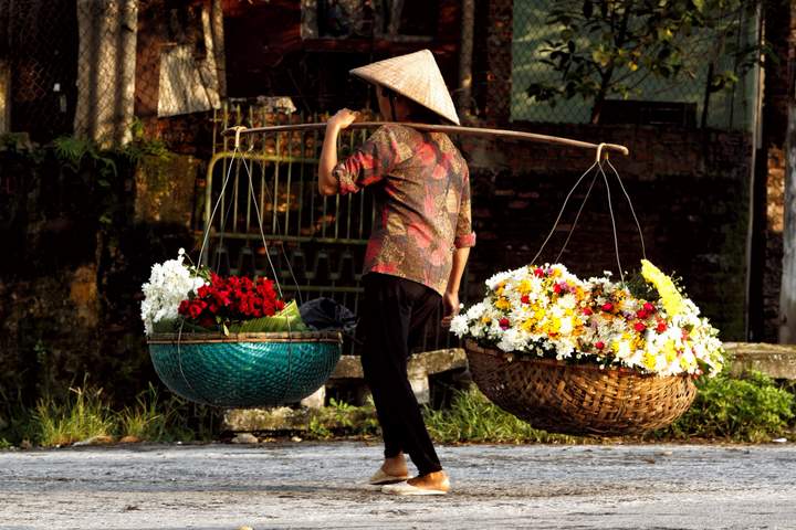 Vietnam Culinary Discovery - image 1