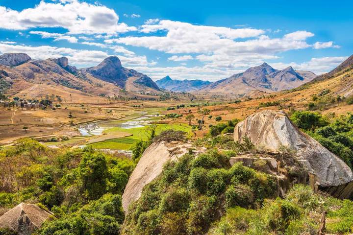 Wild Madagascar - image 11