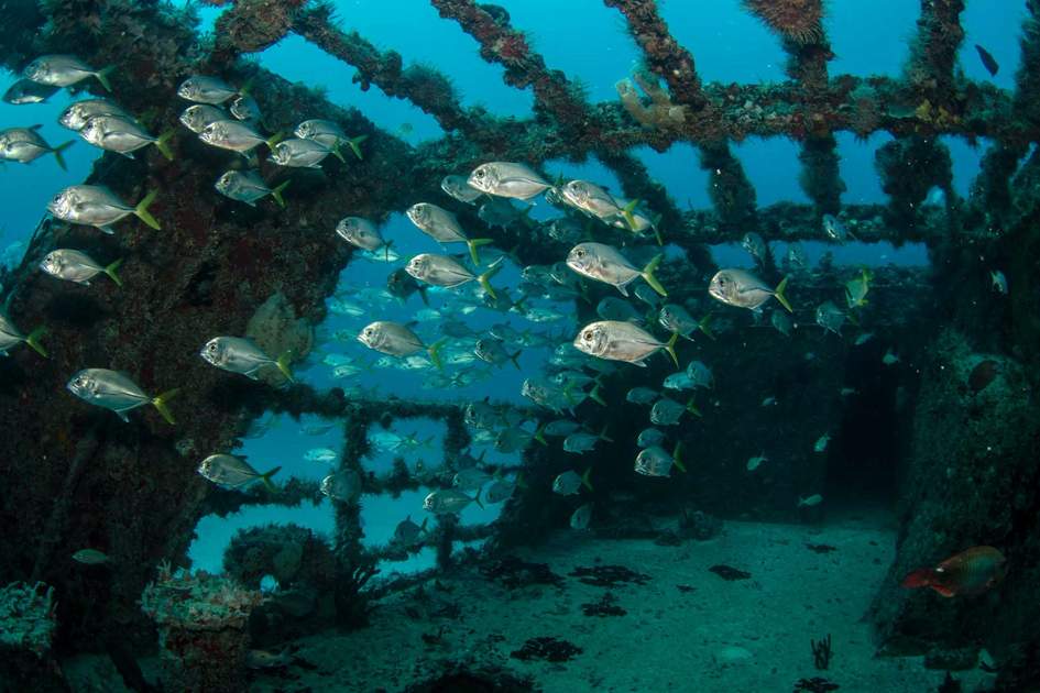 Shipwreck in the Riviera Maya, Yucatán, Mexico