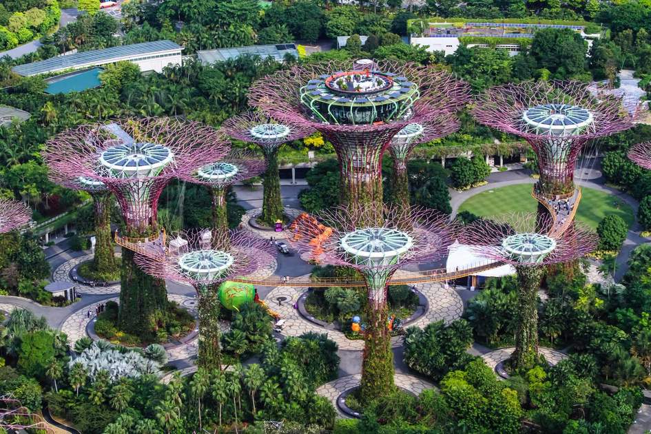 The 'Supertrees' at Gardens by the Bay, Singapore