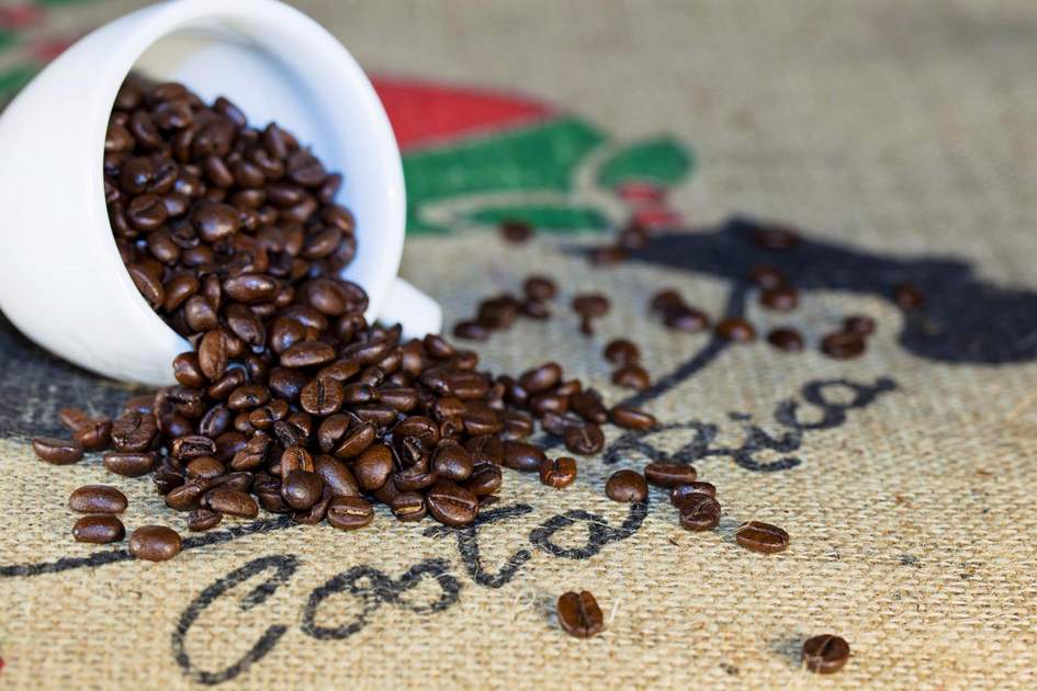 Costa Rican  coffee beans. Photo: Shutterstock