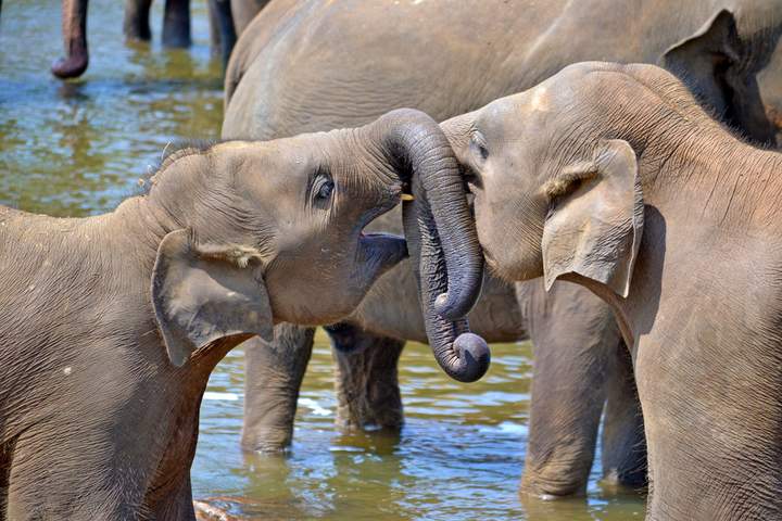 Sri Lanka: Off the Beaten Track - image 3