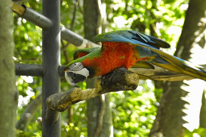 Discover Northern Costa Rica - image 1