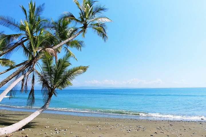 Discover Northern Costa Rica - image 7