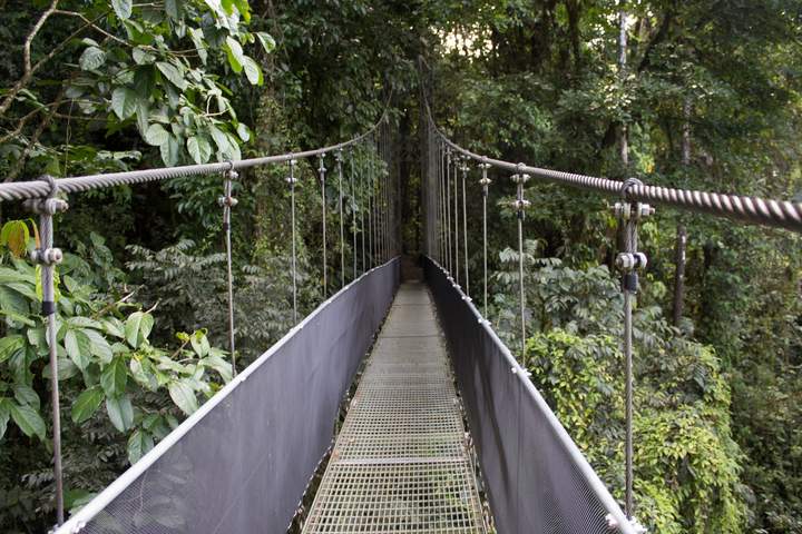 Discover Northern Costa Rica - image 9