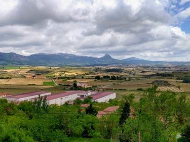 The Lands of Wine from Madrid