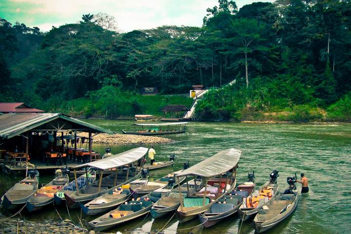 Coast, Mountain Ranges and the Amazon Rainforest - image 12