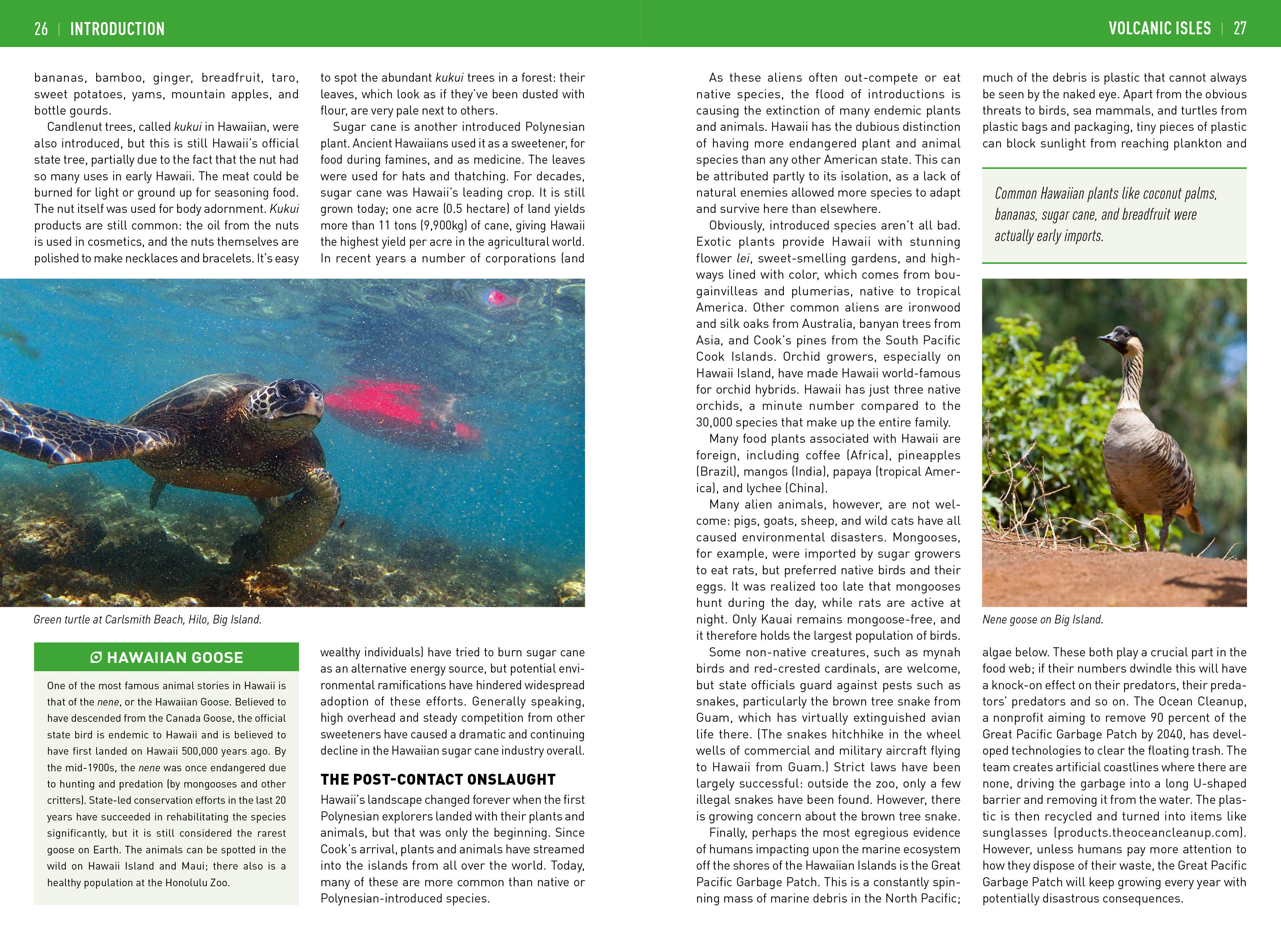Insight Guides: Insight Guides Hawaii