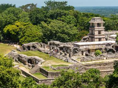 Culture & Jungle in Chiapas