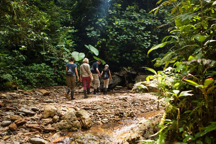 Unique Lodges of Ecuador - image 4