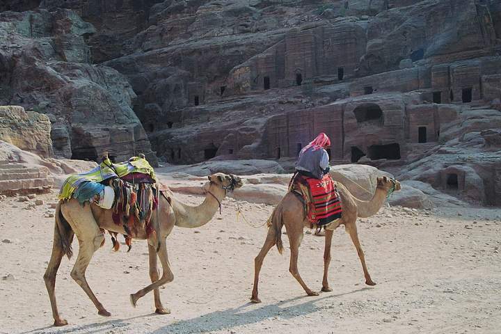 A Bedouin Experience | Insight Guides