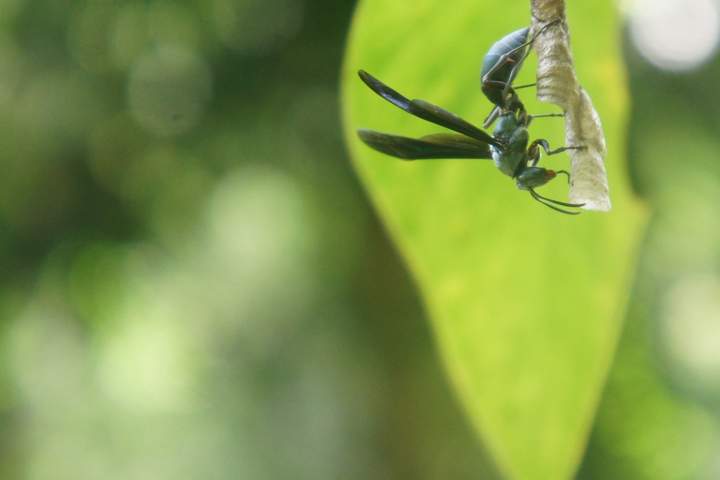 Adventure Trip in and around Medellin - image 5