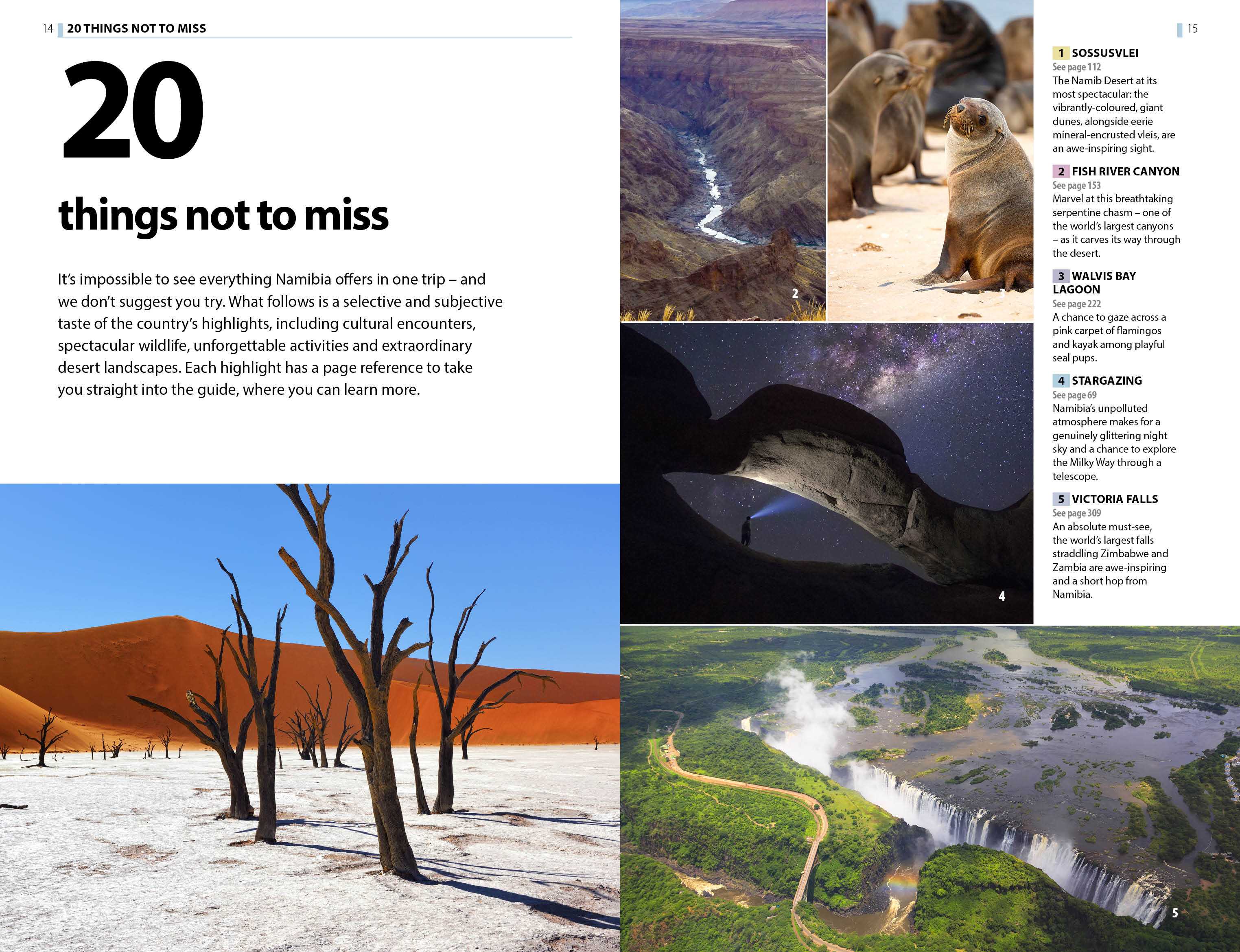 Our Guide To The Namib Oldest Desert On Earth 2: Ultimate Adventure