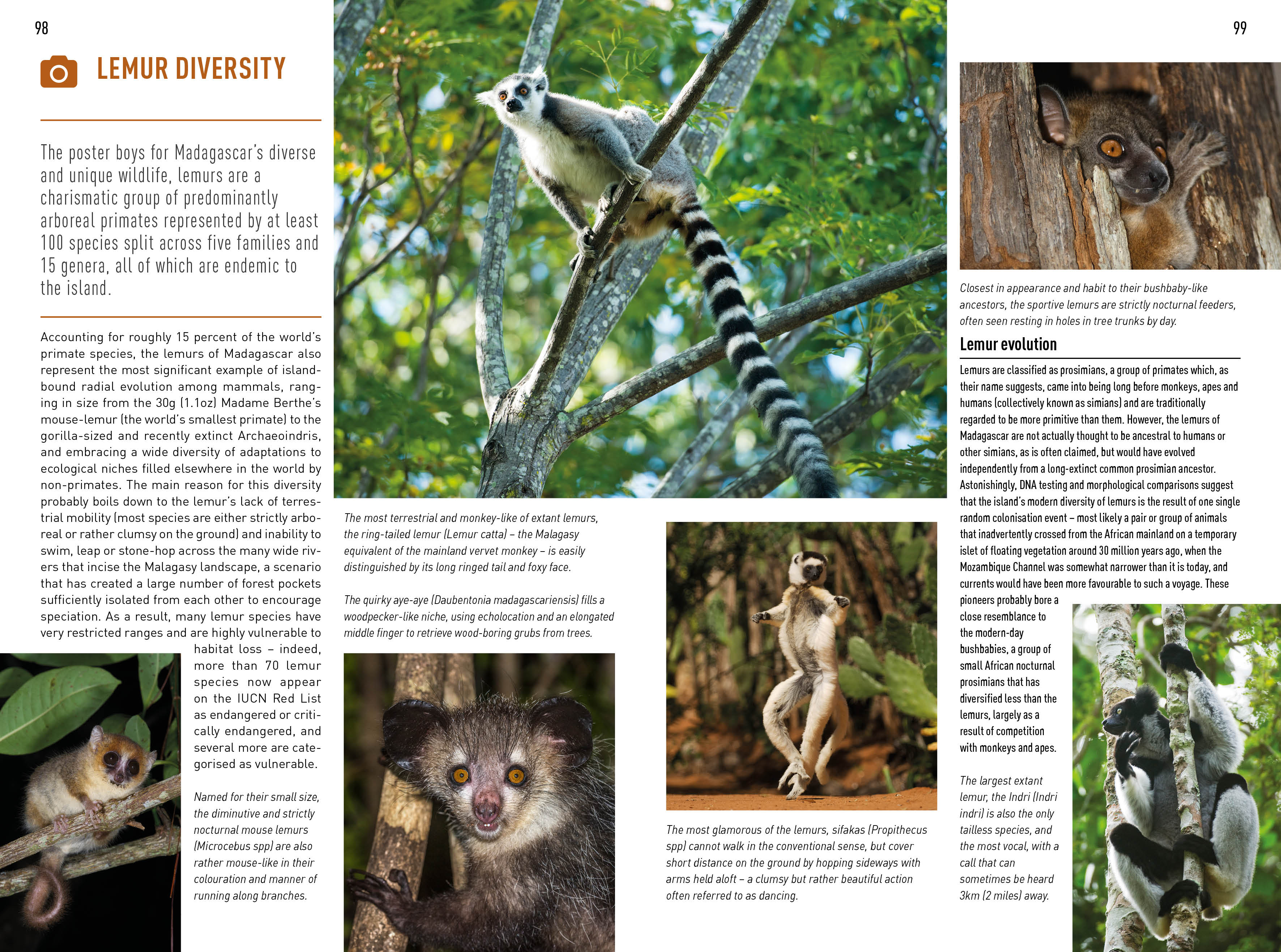 Insight Guides: Insight Guides Madagascar