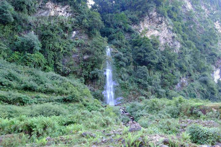 Pure Nature in Northern Ecuador - image 3