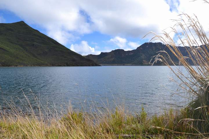 Pure Nature in Northern Ecuador - image 6
