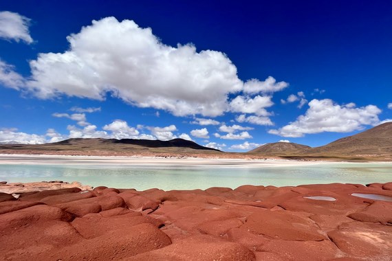 Altiplano Expedition - A wild trip with few tourists | Insight Guides
