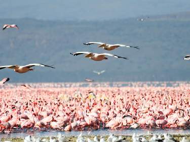 Mara & Lakes Discovery