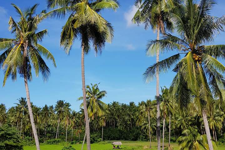 Sri Lanka in ecolodges and unique accommodations - image 2