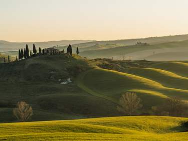 Tuscan Wispers