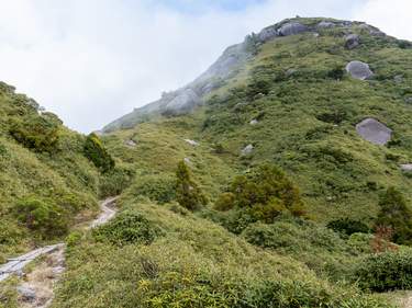 Yakushima: Ancient Forests, Waterfalls & Island Wilderness