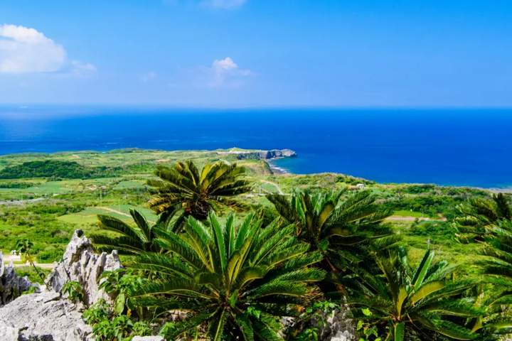 Tides & Traditions: Okinawa and Amami Revealed - image 4