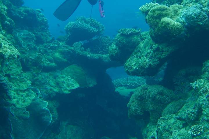 Tides & Traditions: Okinawa and Amami Revealed - image 8