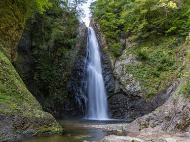 Trails of Shirakami-Sanchi: Waterfalls, Walks & Local Life