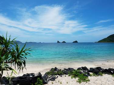 Tides & Traditions: Okinawa and Amami Revealed