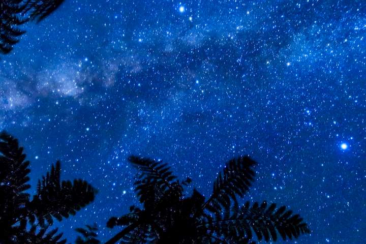 Tides & Traditions: Okinawa and Amami Revealed - image 3