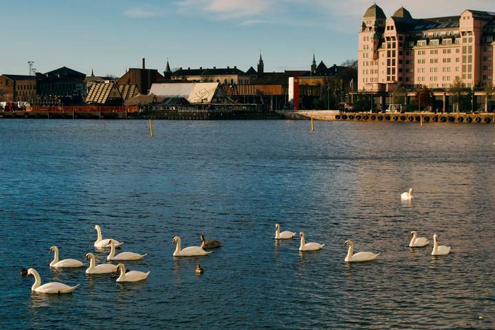 Western Fjord Highlights - image 2