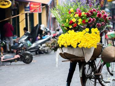 VIETNAM BEST SELECTION - 10 DAYS 09 NIGHTS