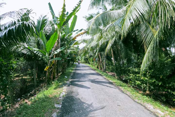 Classic Vietnam - image 9