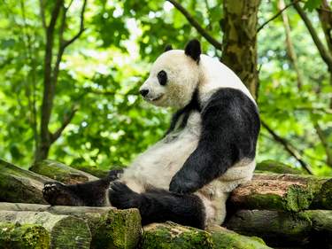 14 Days Through the Heart of China: A Journey for the Senses