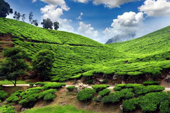 God’s Own Country (Standard hotels)- Summer Escape - image 4