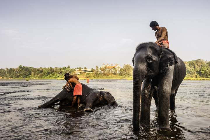 God’s Own Country (Standard hotels)- Summer Escape - image 6