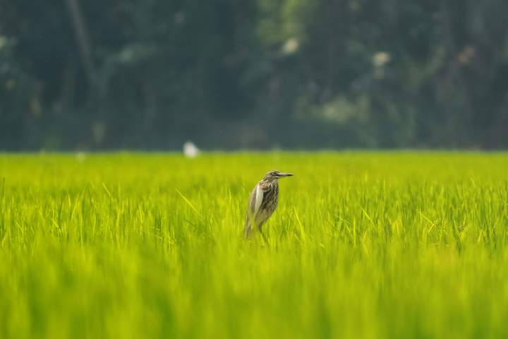 God’s Own Country (Standard hotels)- Summer Escape - image 7