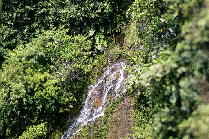 Discover Brazil: Rio de Janeiro, Paraty and Iguaçu Falls - image 8
