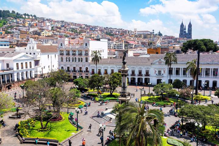 A Sensory Journey into the Heart of Ecuadorian Cacao - image 4