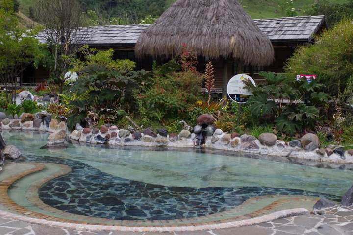 A Sensory Journey into the Heart of Ecuadorian Cacao - image 8