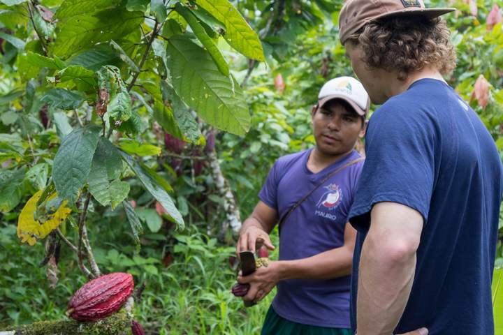 A Sensory Journey into the Heart of Ecuadorian Cacao - image 11