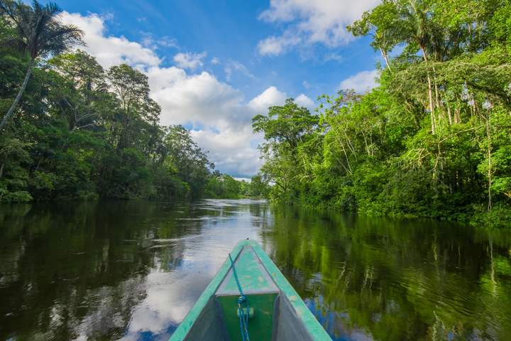 A Sensory Journey into the Heart of Ecuadorian Cacao - image 12