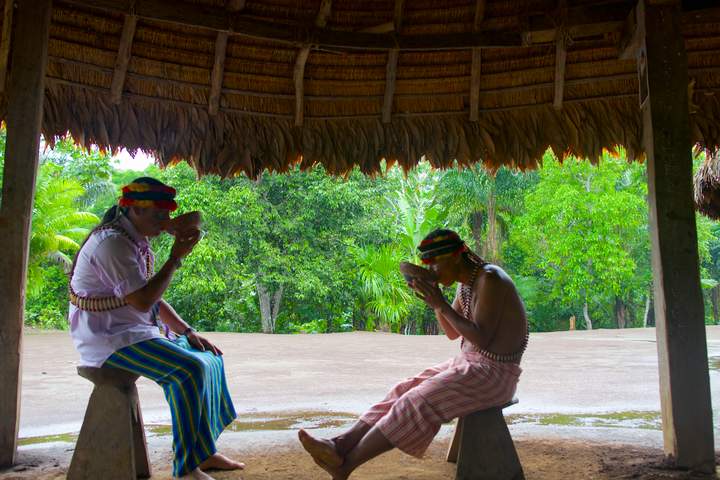 A Sensory Journey into the Heart of Ecuadorian Cacao - image 10