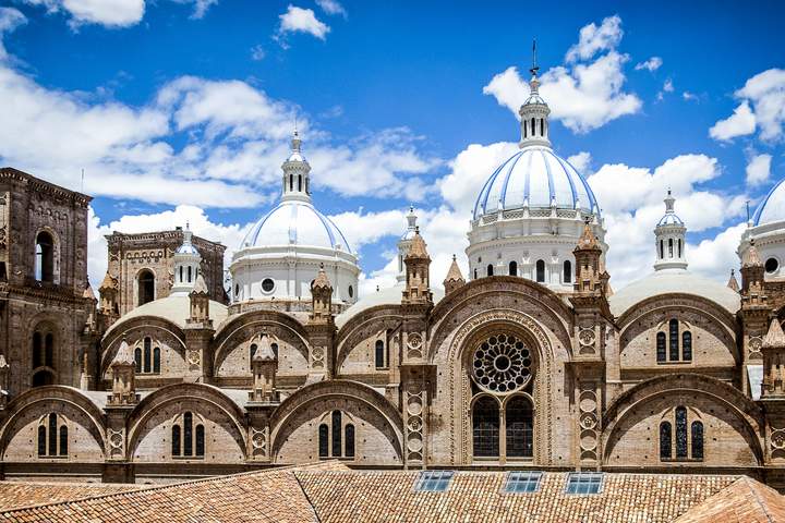 A Sensory Journey into the Heart of Ecuadorian Cacao - image 16