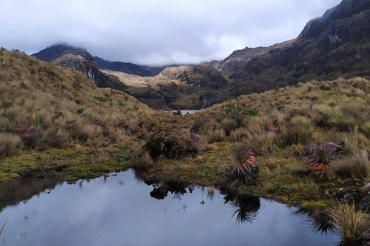 A Sensory Journey into the Heart of Ecuadorian Cacao - image 15