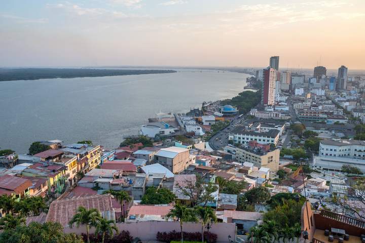 A Sensory Journey into the Heart of Ecuadorian Cacao - image 18