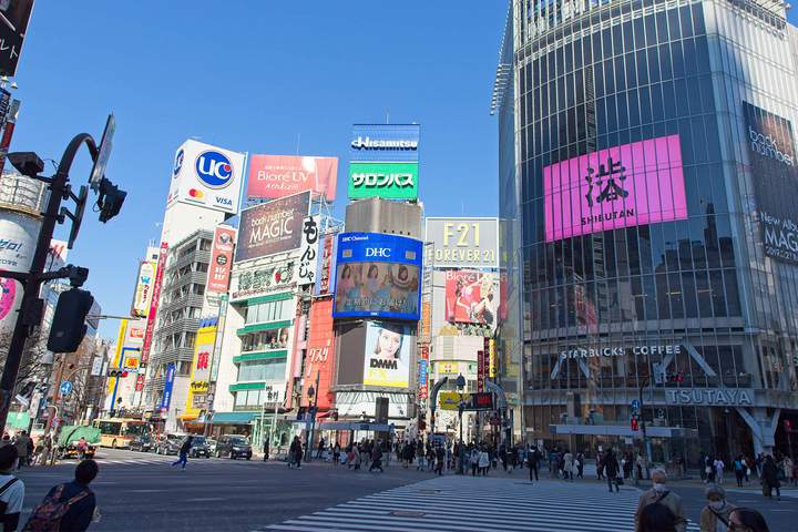 Japan Cultural Highlights: Tokyo, Mt. Fuji & Kyoto
